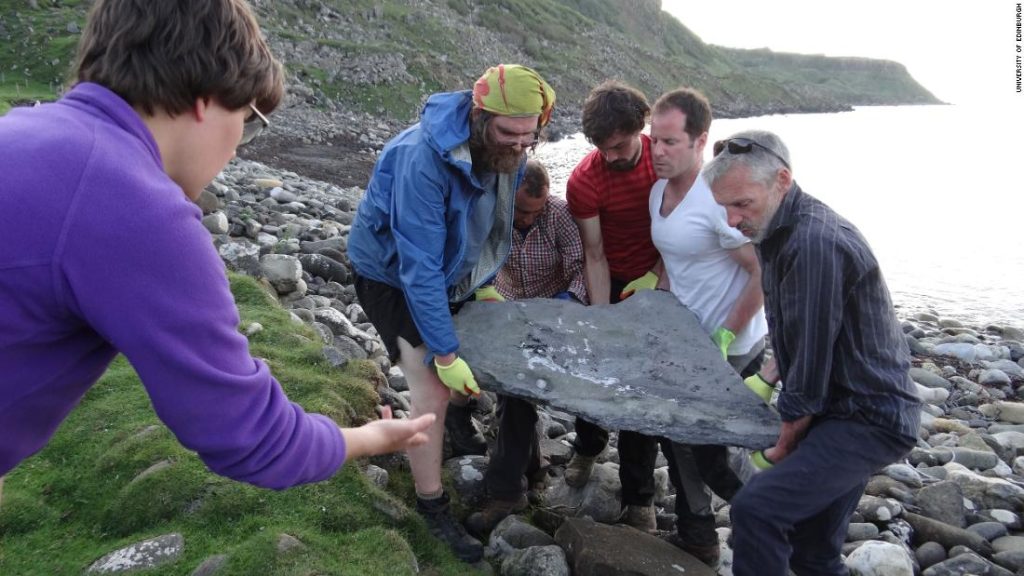 Fóssil de um réptil voador gigante descoberto em uma ilha escocesa