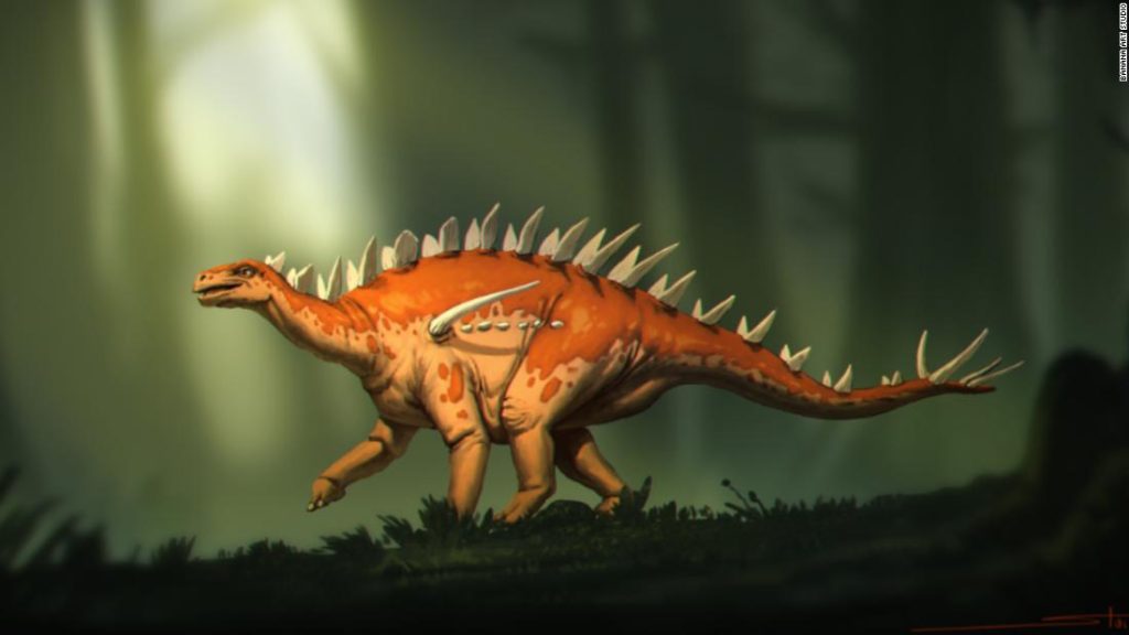 Fósseis de estegossauro descobertos têm 'estranha mistura de características'