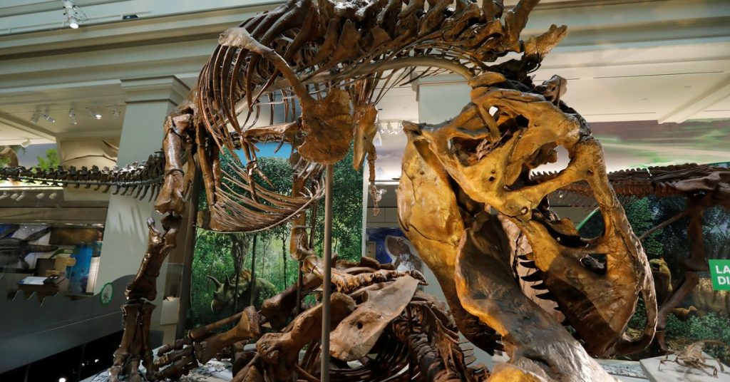 Cientistas sugerem que o tiranossauro tinha três espécies, não apenas 'Rex'