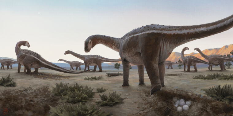 Um local de nidificação de titanossauros foi encontrado no Brasil