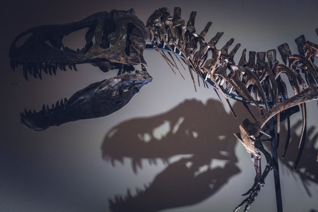Um paleontólogo da Universidade da Califórnia, Berkeley apresenta uma nova teoria sobre por que T. Rexes tinha armas tão pequenas