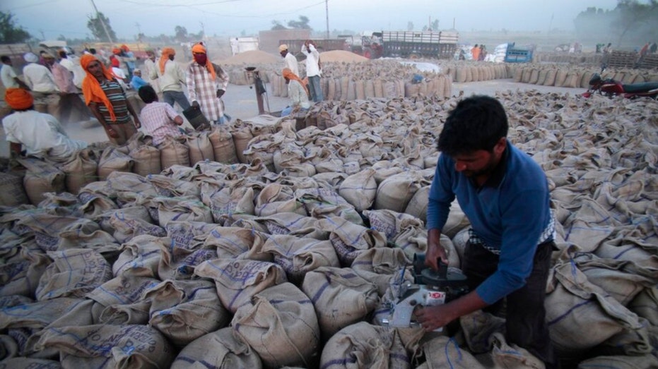 Trabalhador fecha sacos cheios de trigo na Índia