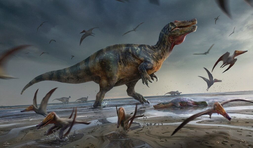 Caçador de fósseis britânico descobre o maior dinossauro predador da Europa