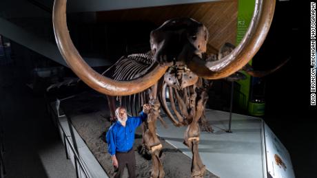 O paleontólogo da Universidade de Michigan Daniel Fisher posa com um esqueleto composto de um mastodonte Buesching.
