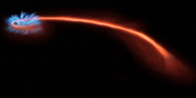 Luz polarizada revela o destino final da estrela "Spaghetti" por um buraco negro