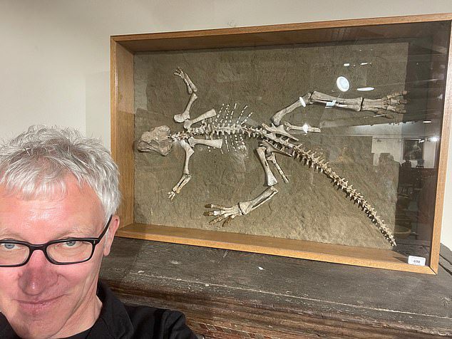 O homem de 54 anos (foto Tom Holland) foi com o pai à venda na Woolley & Wallis, em Salisbury, Walts, para fazer uma apresentação sobre o esqueleto de um Psittacosarus (lagarto papagaio) de 97,5 a 119 milhões de anos .