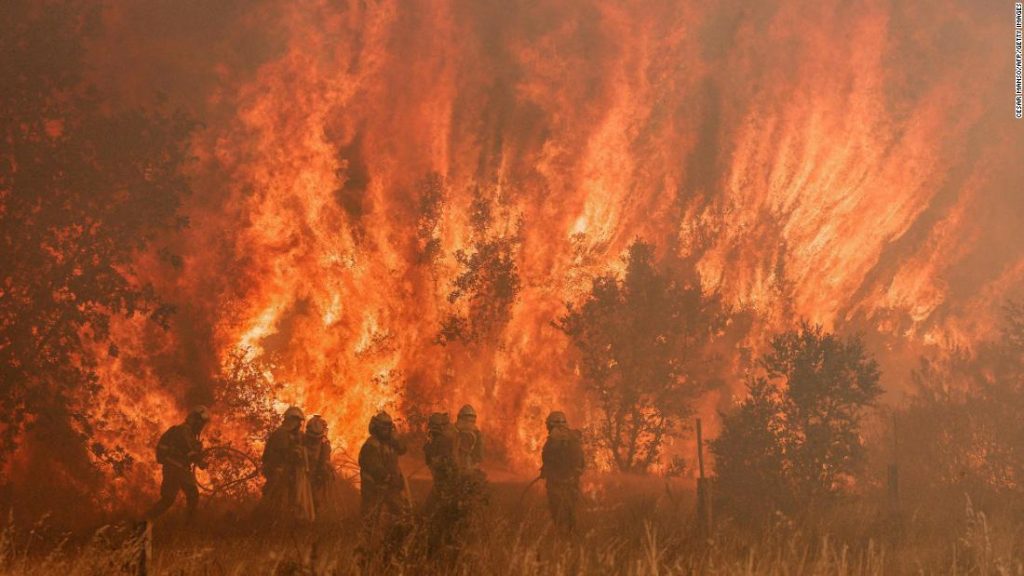 Europa enfrenta incêndios florestais com calor escaldante