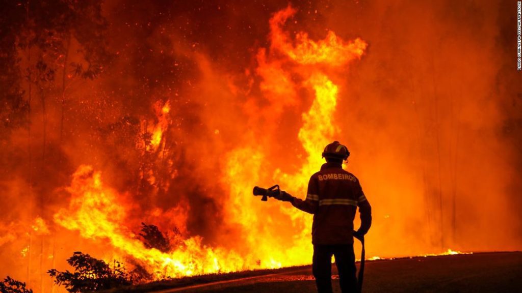Incêndios florestais ocorrem na França e na Espanha em meio a onda de calor, enquanto o Reino Unido enfrenta seu dia mais quente de todos os tempos