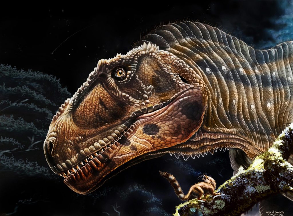 A descoberta de um novo dinossauro gigante revela por que tantos carnívoros pré-históricos tinham armas tão pequenas