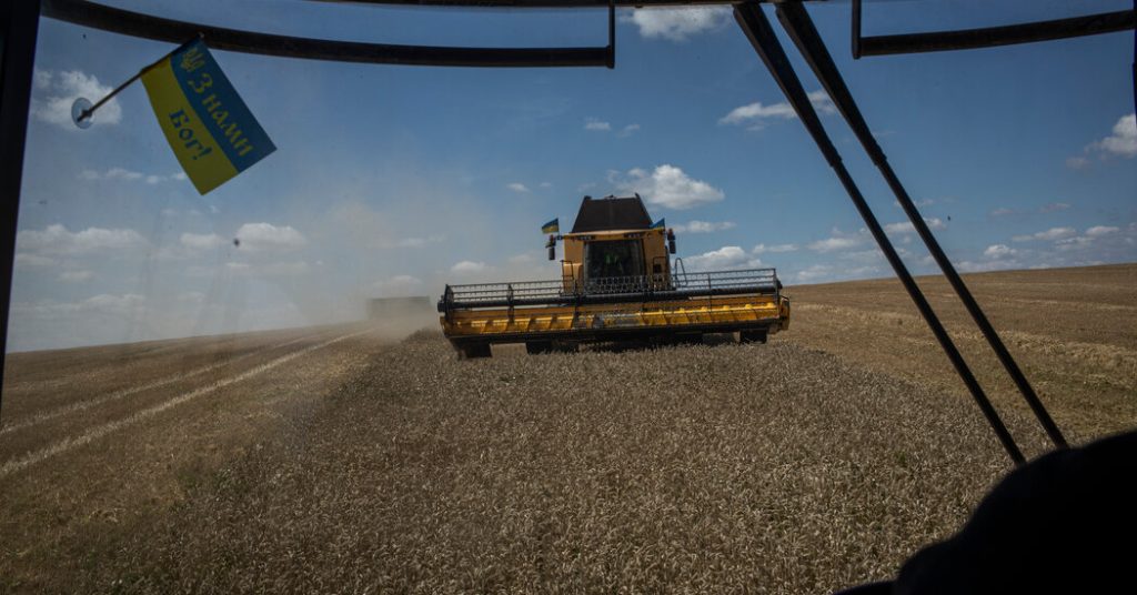 Colheitas 'estocadas em todos os lugares': a colheita da Ucrânia está se acumulando