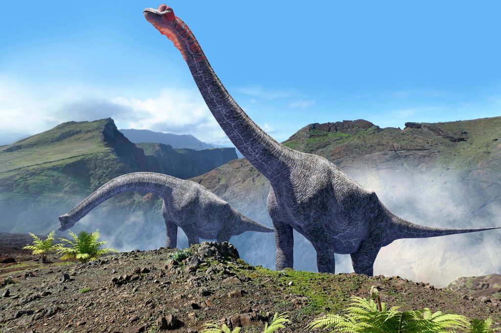 O esqueleto provavelmente pertencia a um dinossauro saurópode que vagou pelo território do Portugal moderno entre 160-100 milhões de anos atrás. 