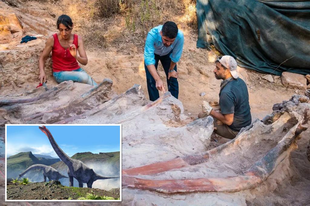 Esqueleto de dinossauro de 82 pés de altura foi encontrado no quintal de um homem em Portugal
