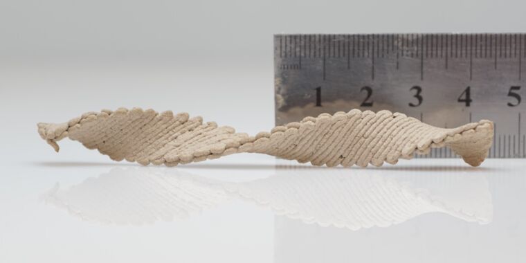 Estas formas de madeira 3D auto-modulantes podem ser o futuro da marcenaria