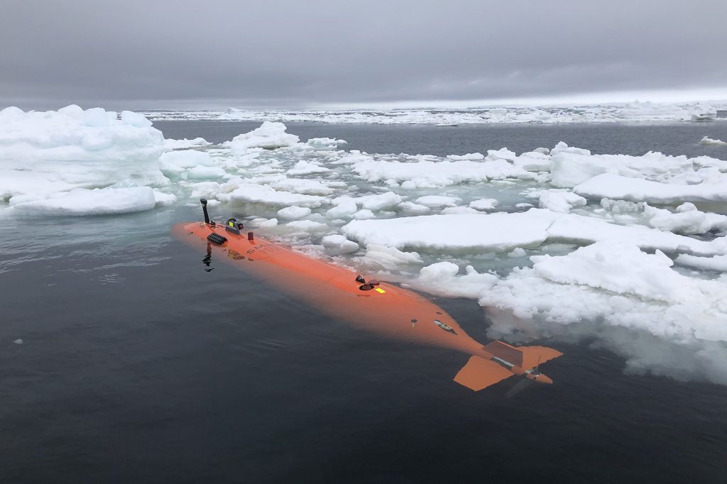 No início deste ano, um grupo internacional de cientistas tentou estudar a geleira em um esforço para ajudar a impedir a erosão.