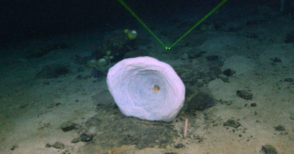 A descoberta de um misterioso "grande objeto" perto dos destroços do Titanic foi finalmente identificado