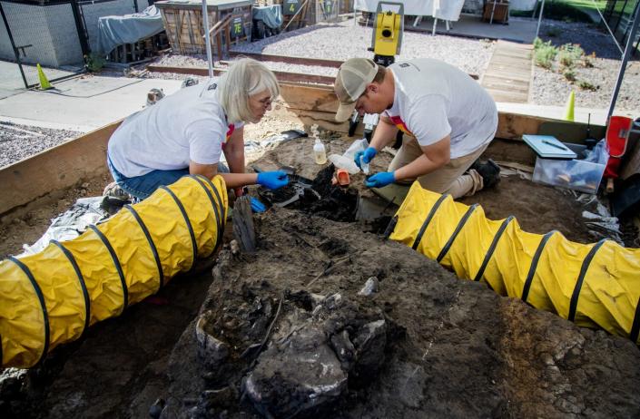 Duas pessoas ajoelhadas no chão escavaram fósseis cuidadosamente